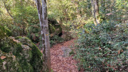 Masmolene_25_12-20