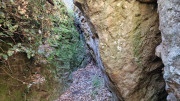 Masmolene_25_12-22