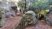 Masmolene_25_12-8