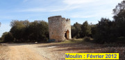 Masmolene_25_12-99