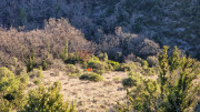 Cagnasses_25_12-85