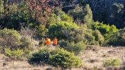 Cagnasses_25_12-86