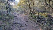 Jumelles_25_01-10