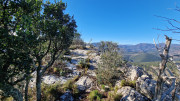 Jumelles_25_01-100