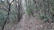 Jumelles_25_01-110