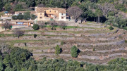 Jumelles_25_01-128