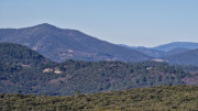 Jumelles_25_01-138