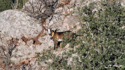 Jumelles_25_01-140