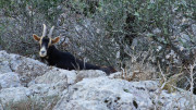 Jumelles_25_01-142