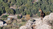 Jumelles_25_01-144