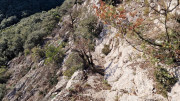 Jumelles_25_01-154