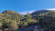Jumelles_25_01-159