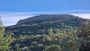 Jumelles_25_01-160