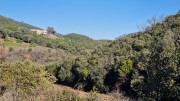 Jumelles_25_01-164