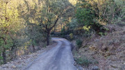 Jumelles_25_01-165