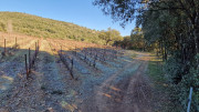 Jumelles_25_01-185