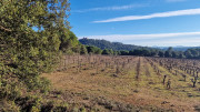 Jumelles_25_01-190