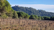 Jumelles_25_01-191