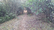 Jumelles_25_01-197