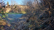Jumelles_25_01-199