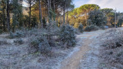 Jumelles_25_01-2