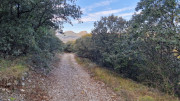 Jumelles_25_01-20