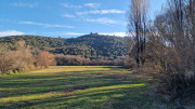 Jumelles_25_01-200