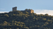 Jumelles_25_01-202