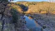 Jumelles_25_01-206