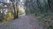Jumelles_25_01-220