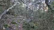 Jumelles_25_01-228