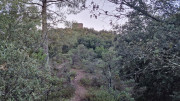 Jumelles_25_01-229