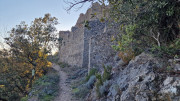 Jumelles_25_01-232