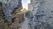 Jumelles_25_01-242