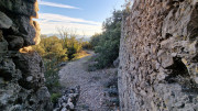 Jumelles_25_01-244