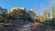 Jumelles_25_01-245
