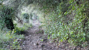 Jumelles_25_01-252