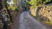 Jumelles_25_01-256
