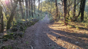 Jumelles_25_01-259