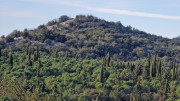 Jumelles_25_01-29