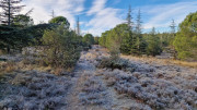 Jumelles_25_01-31