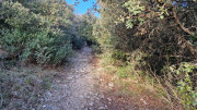 Jumelles_25_01-36