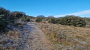 Jumelles_25_01-37