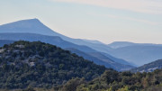 Jumelles_25_01-55