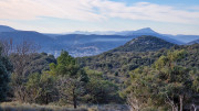Jumelles_25_01-56