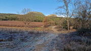 Jumelles_25_01-60