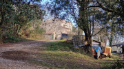 Jumelles_25_01-64