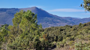 Jumelles_25_01-69