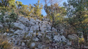 Jumelles_25_01-74