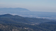 Jumelles_25_01-77